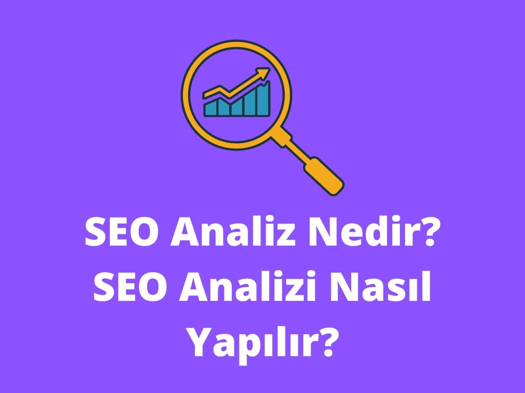 seo analizi