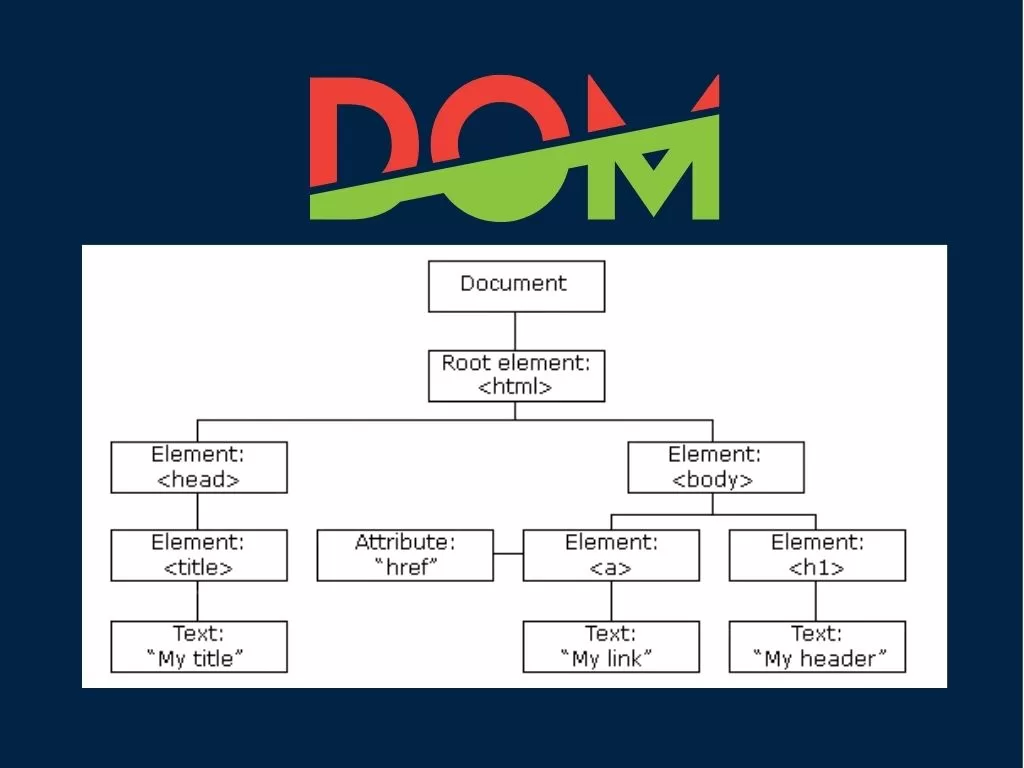 dom-nedir-31112-2 dom nedir
