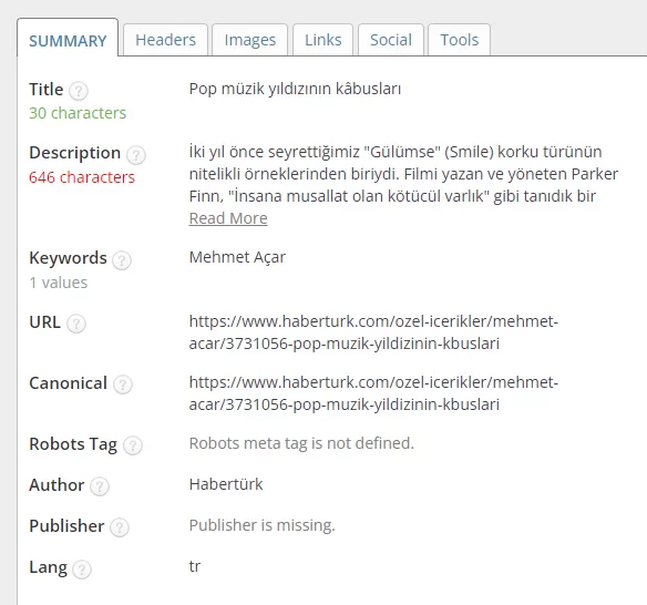backlink analizi
