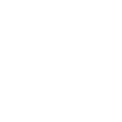 SEO vaka çalışması